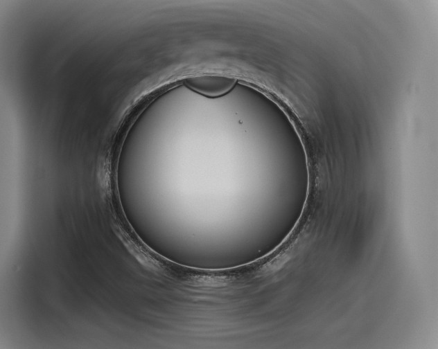 X0000115531499200911061430