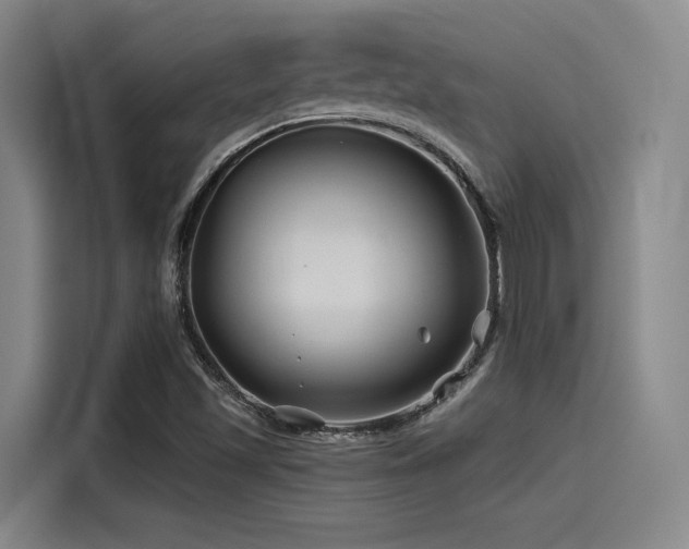 X0000115531501200911061430