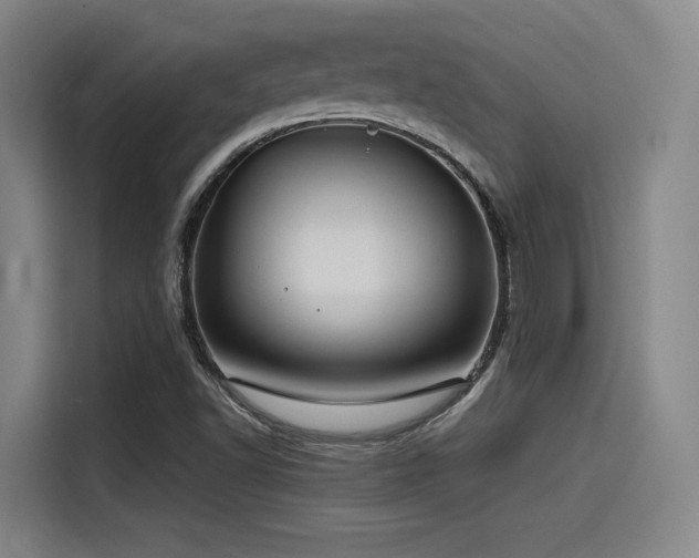 X0000115531502200911061430