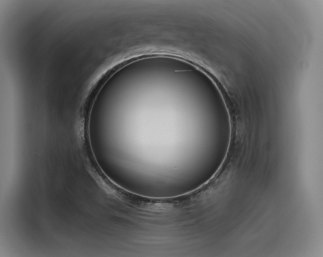 X0000115531503200911061430