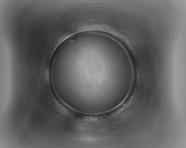 X0000115531505200911061430