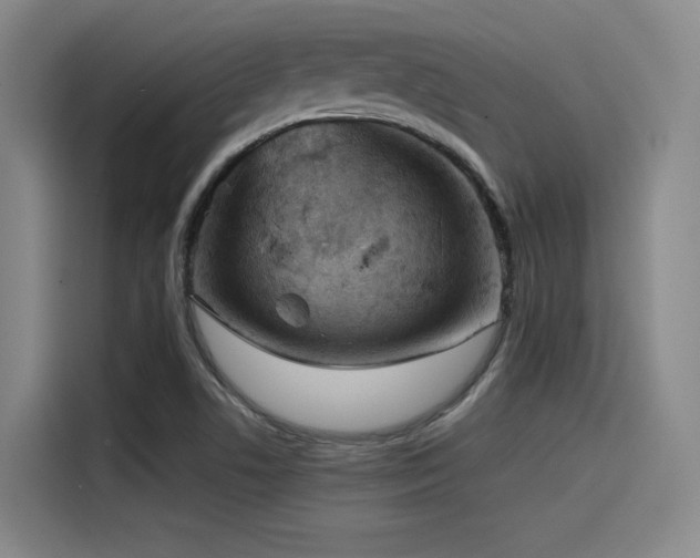 X0000115531506200911061430