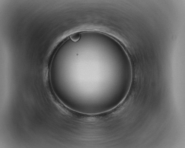 X0000115531507200911061430