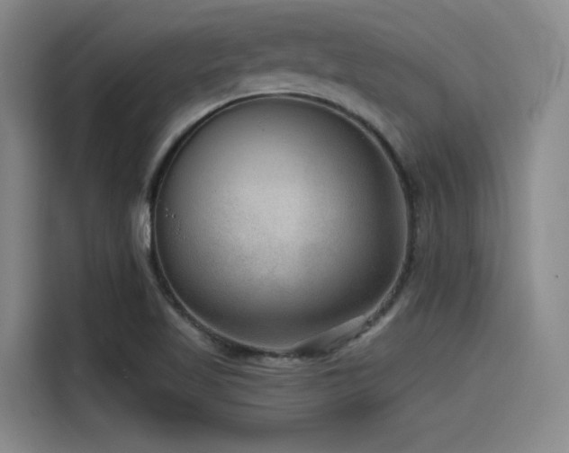 X0000115531509200911061430