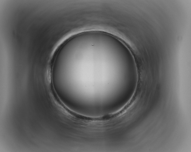 X0000115531510200911061430
