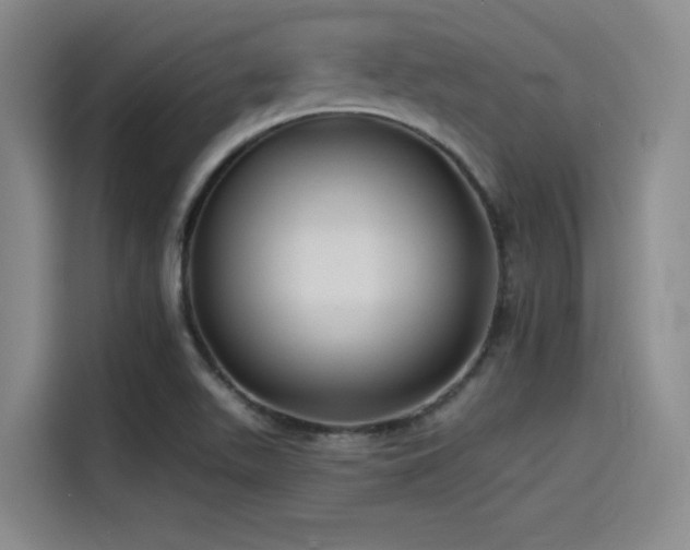 X0000115531511200911061430