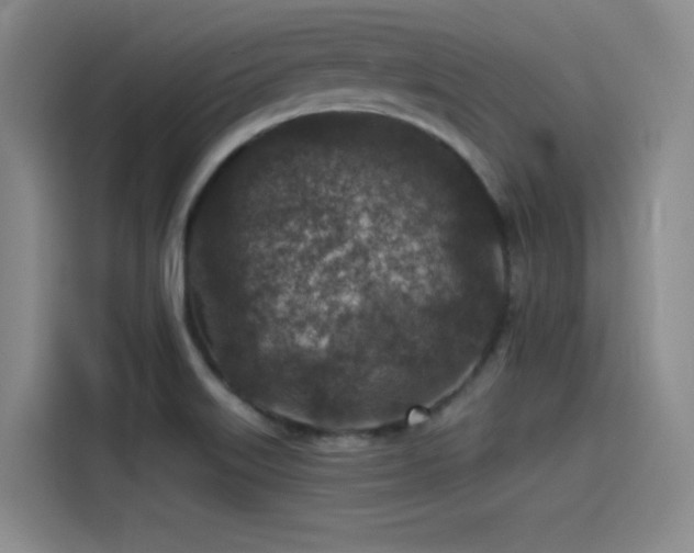 X0000115531515200911061430