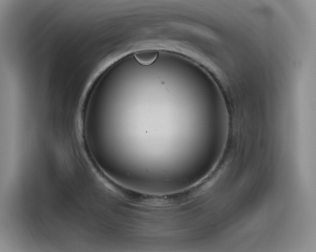 X0000115531517200911061430