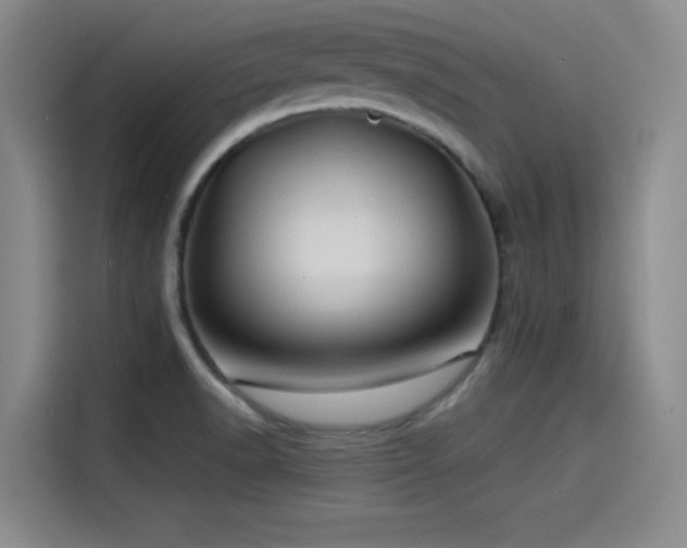 X0000115531518200911061430