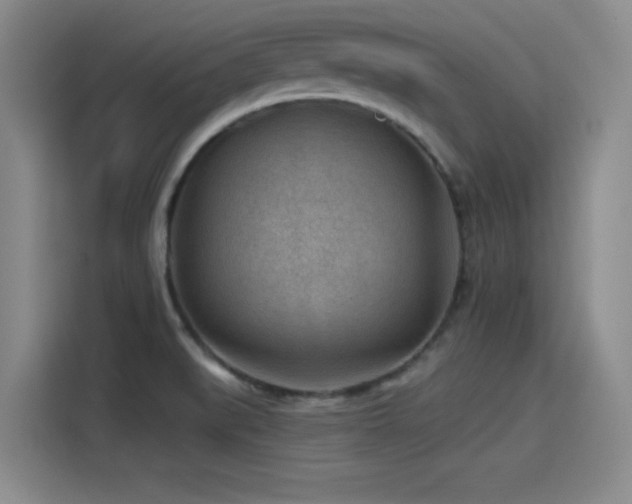 X0000115531519200911061430