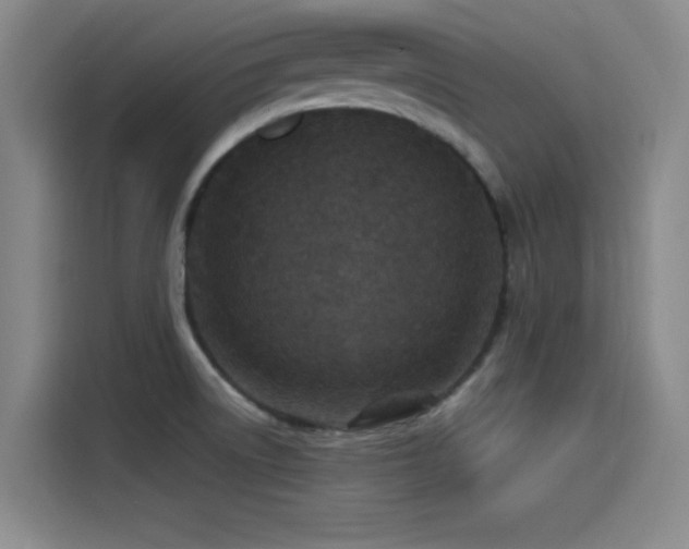 X0000115531522200911061430