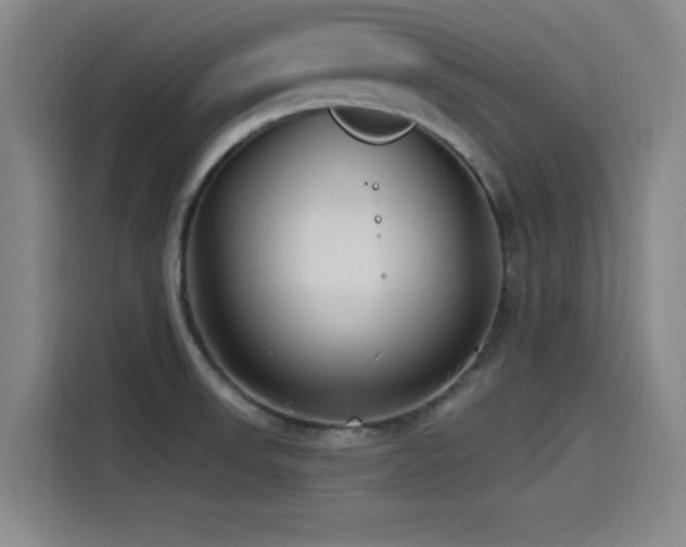 X0000115531523200911061430