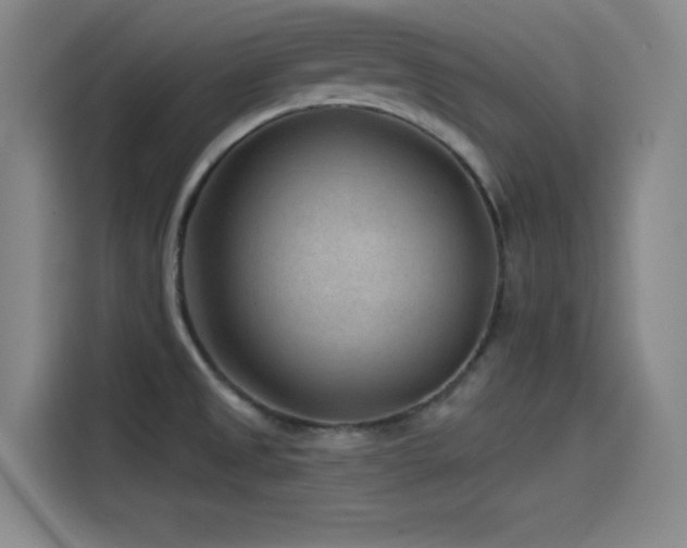 X0000115531525200911061430