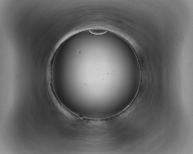 X0000115531526200911061430