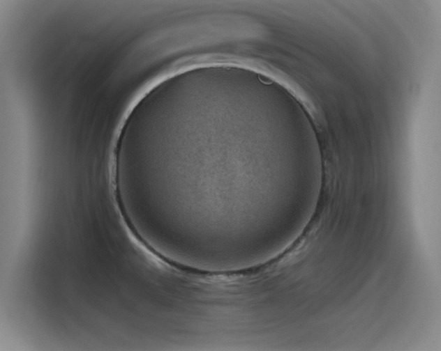 X0000115531527200911061430
