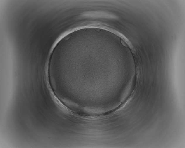 X0000115531530200911061430