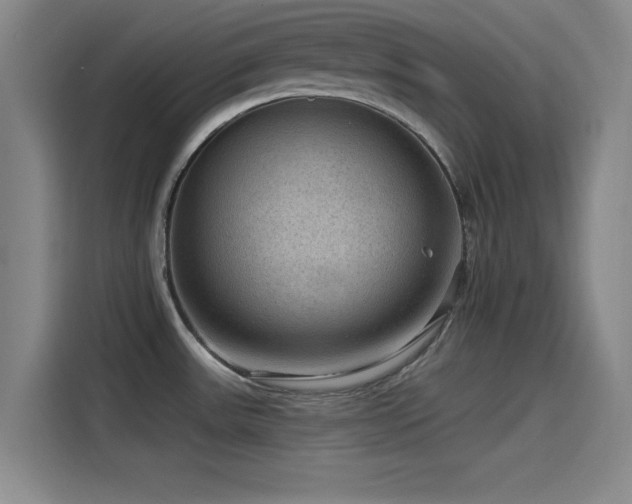 X0000115531531200911061430