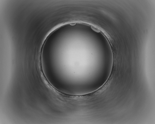 X0000115531534200911061430
