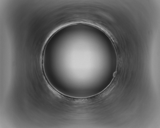 X0000115531535200911061430
