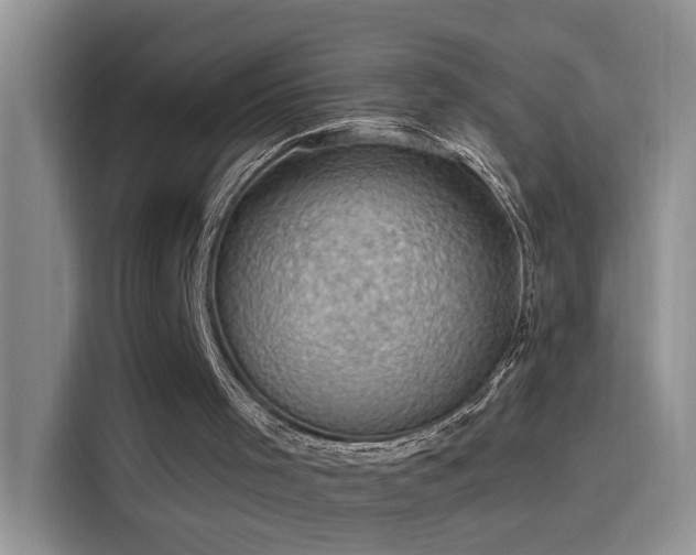 X0000115530001200911131515