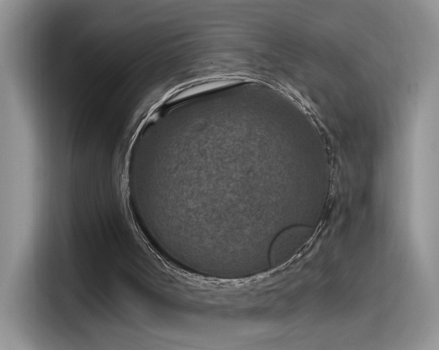 X0000115530002200911131515