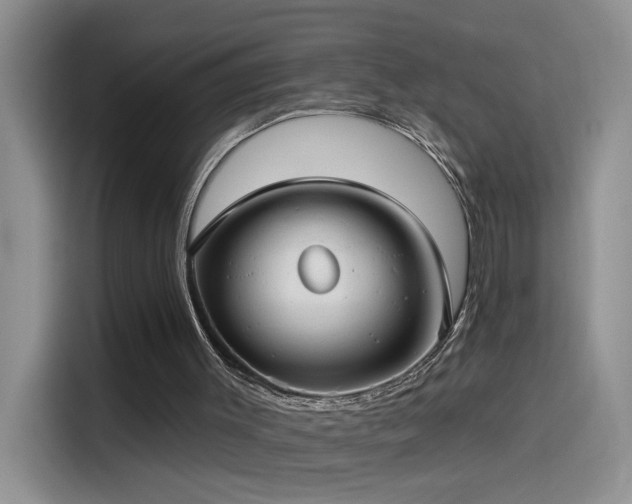 X0000115530003200911131515