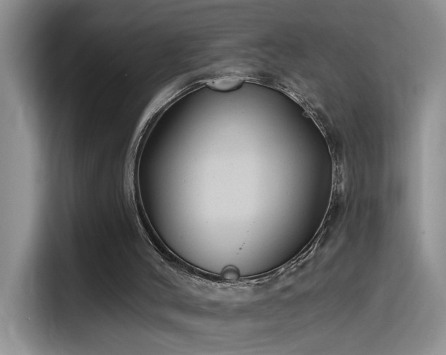 X0000115530004200911131515