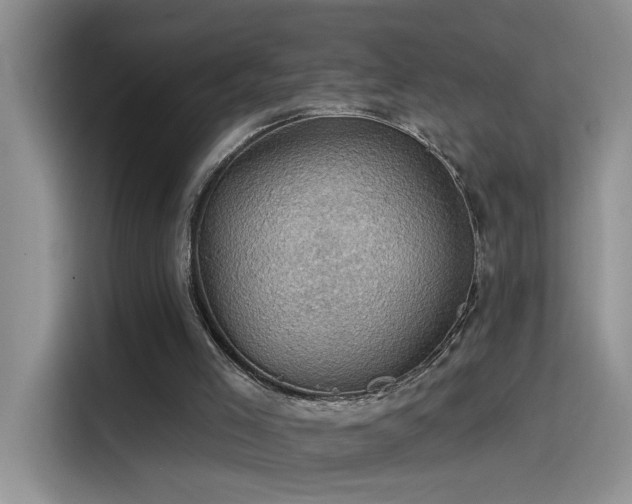 X0000115530005200911131515