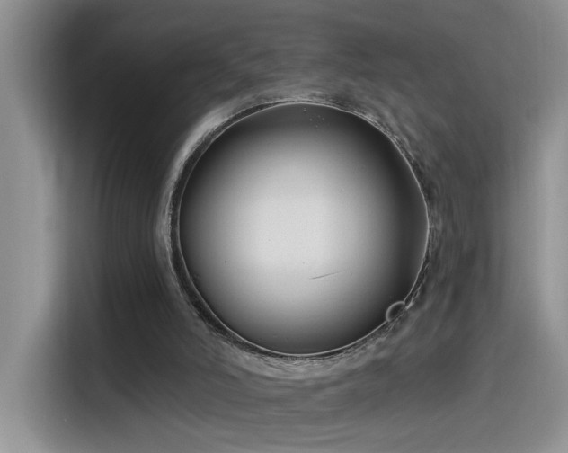 X0000115530006200911131514