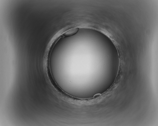 X0000115530007200911131514