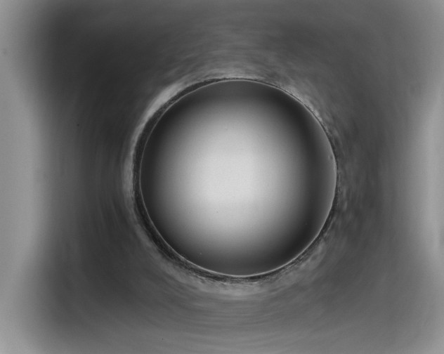 X0000115530008200911131514