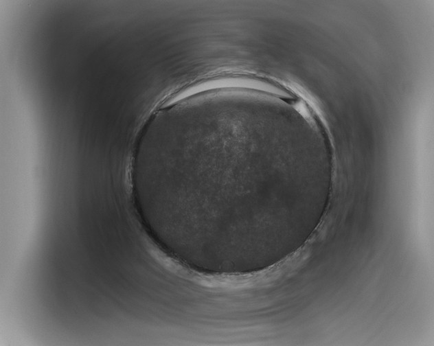 X0000115530009200911131514