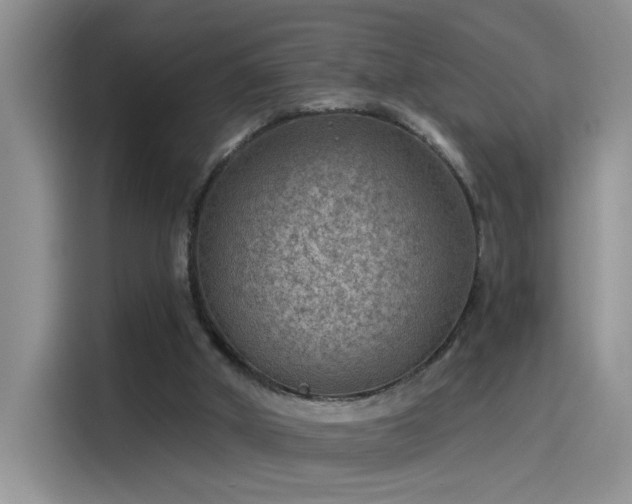 X0000115530010200911131514