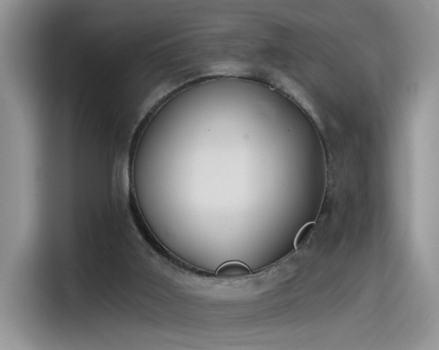 X0000115530011200911131514