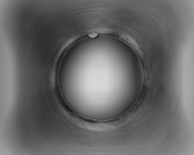 X0000115530012200911131514