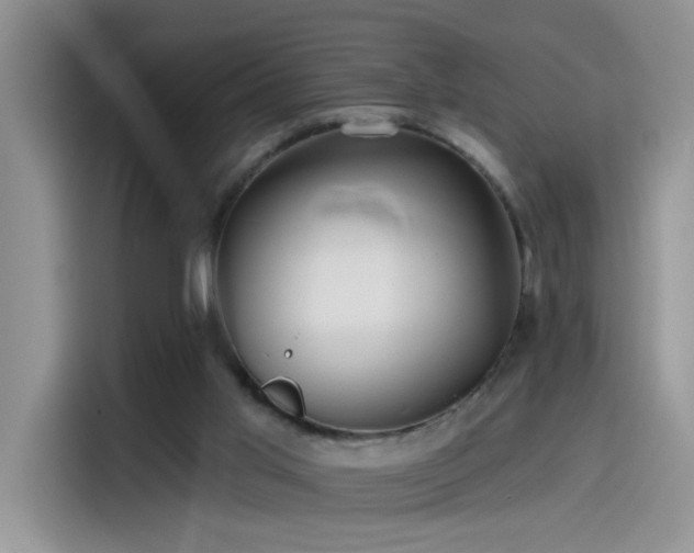 X0000115530013200911131514