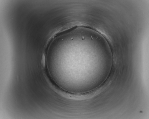 X0000115530014200911131514