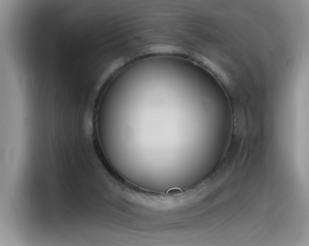 X0000115530015200911131514