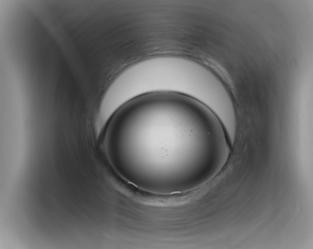 X0000115530017200911131514