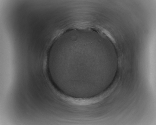 X0000115530018200911131514