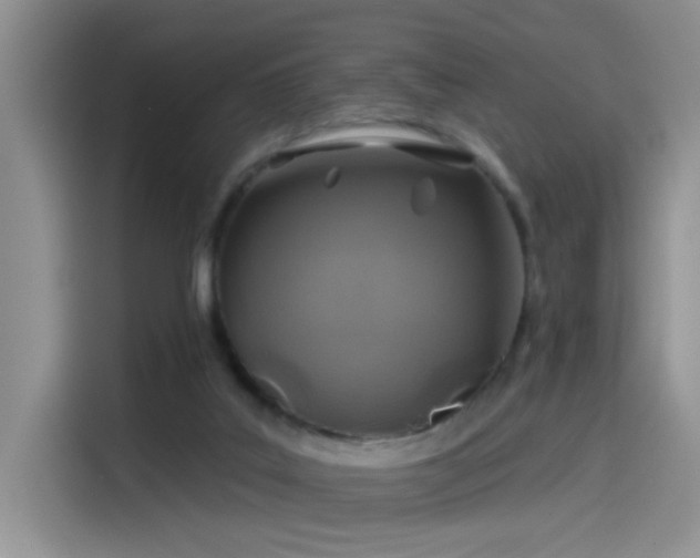 X0000115530019200911131514