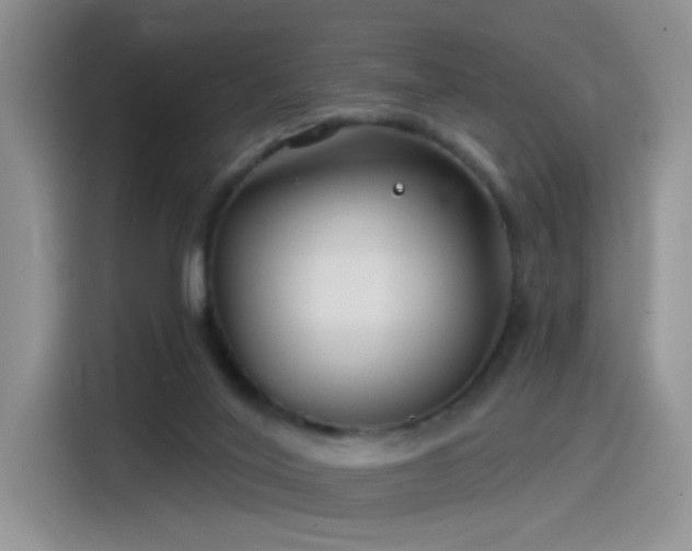 X0000115530020200911131514