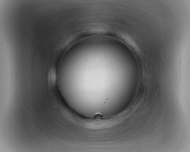 X0000115530021200911131514