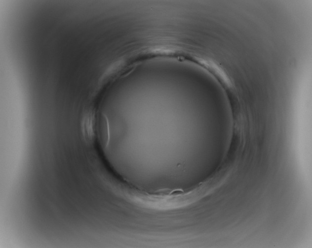 X0000115530023200911131514