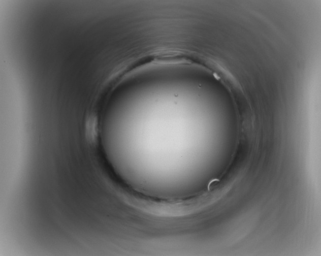 X0000115530024200911131514