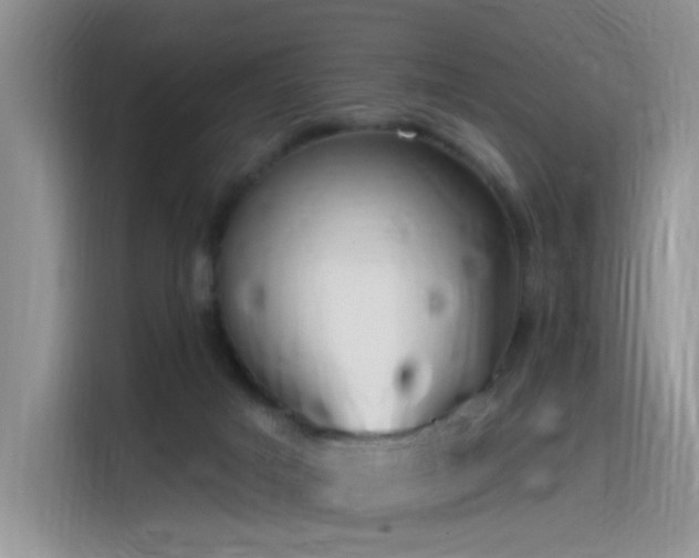 X0000115530025200911131514