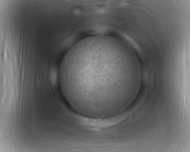 X0000115530026200911131514