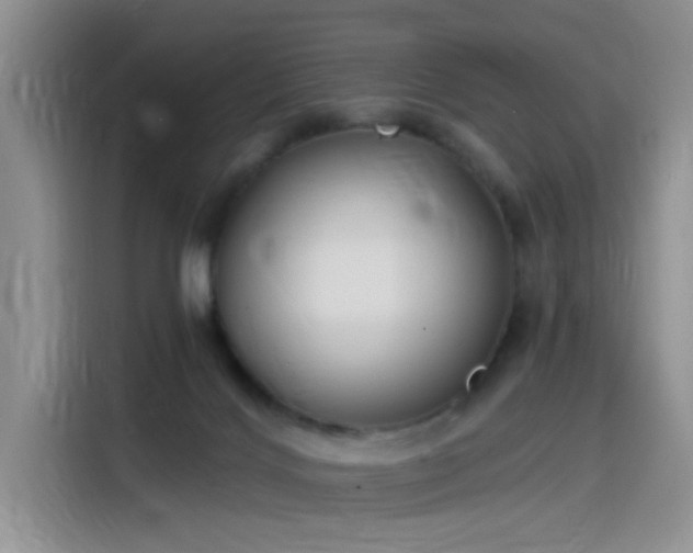 X0000115530028200911131514