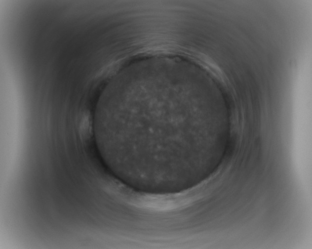 X0000115530029200911131514