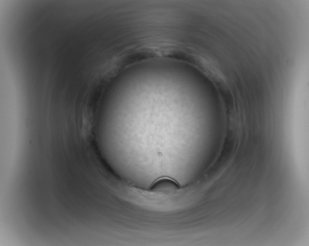 X0000115530030200911131514